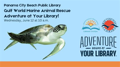 Gulf World Marine Animal Rescue Adventure at Your Library!, Panama City ...