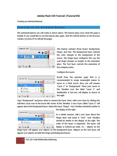 Image result for Script Editing in Adobe Flash CS3