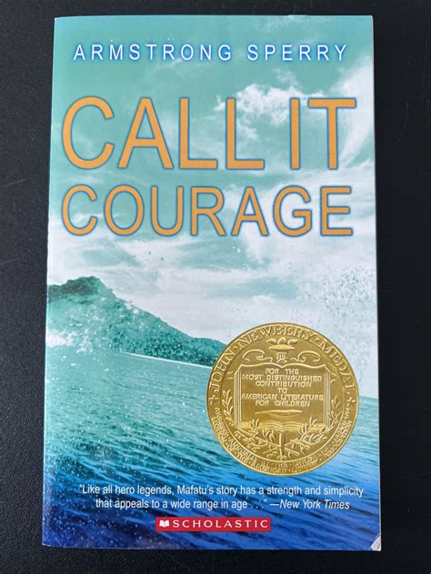 Call It Courage by Armstrong Sperry (1990, Paperback) for sale online ...