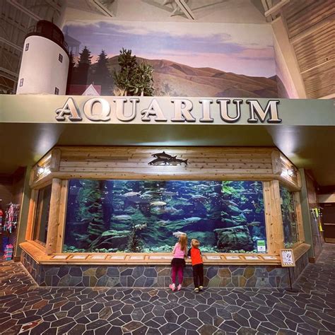 2025 Guide To BEST Things To Do In Scarborough Maine