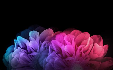 Dark Flowers Wallpapers - Wallpaper Cave