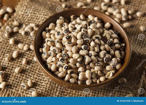 Organic Dry Black Eyed Peas Stock Photo - Image of peas, food: 47561020