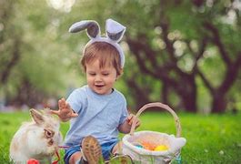 Image result for Easter Bunny Real Cute