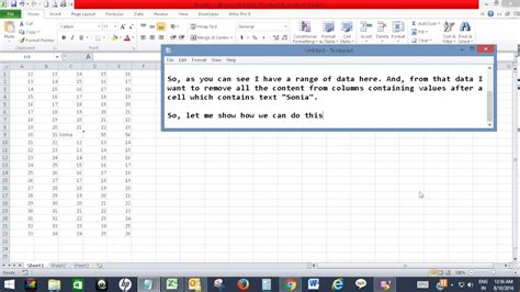 Image result for Excel Module Clear Columna