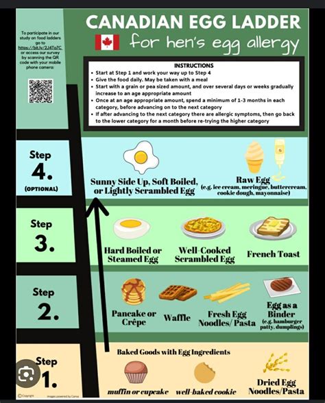 Egg Ladder for allergies/FPIES | Baby food recipes, Food allergies, Egg allergy