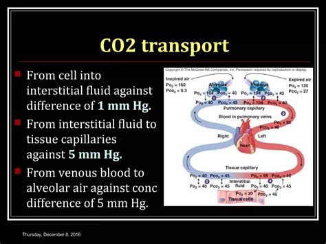 TRANSPORT OF CARBON DIOXIDE | PPT