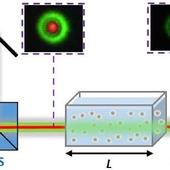 Image result for Vortex Beam
