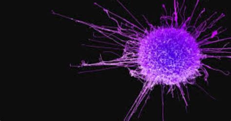 Symptoms Of Cancer [1 min read]