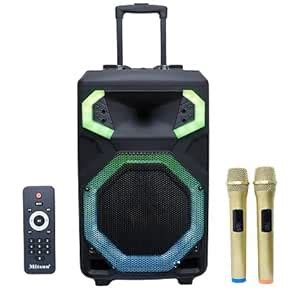12" Bluetooth Trolley Speaker with Wireless mics, FM Radio, USB ...
