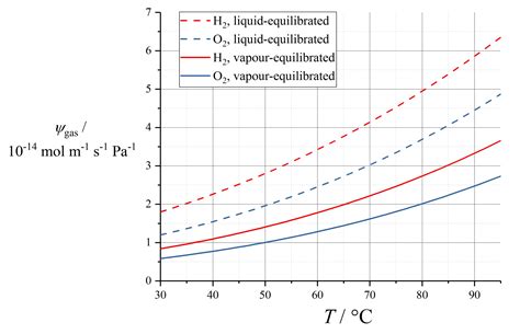Modelling the Proton-Conductive Membrane in Practical Polymer ...