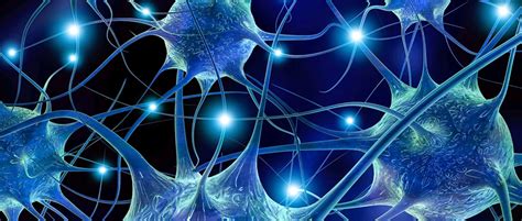 Indian Society of Stereotactic and Functional Neurosurgery