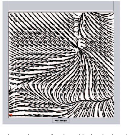 Image result for Vector Space Visualization