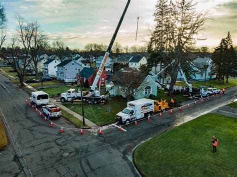 Tree Root Removal Cost 的图像结果