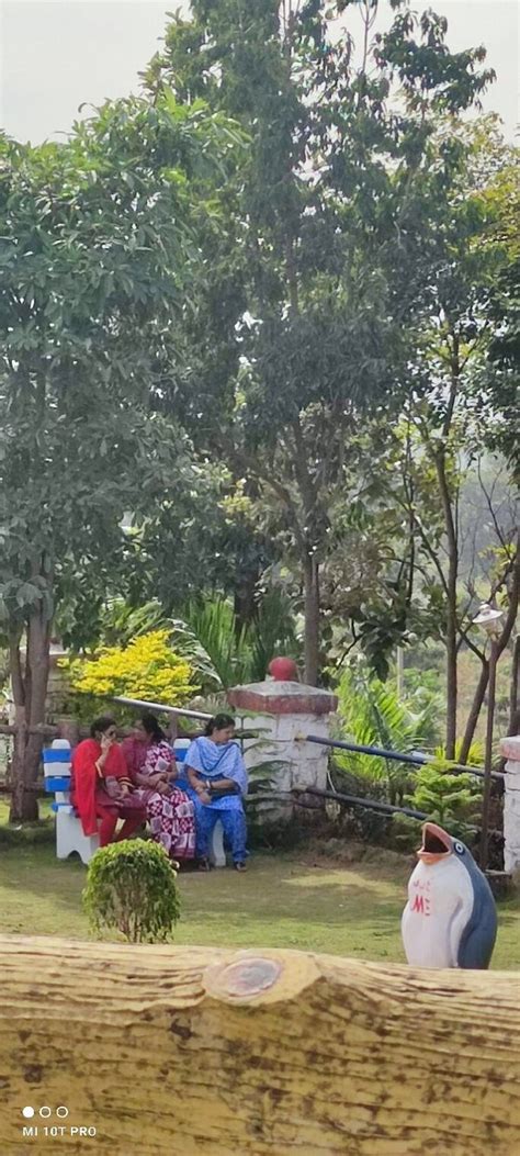 HOTEL SNOW VIEW (Daringbadi) - Hotel Reviews & Photos - Tripadvisor