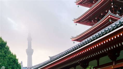 Download wallpaper 1600x900 roofs, tower, architecture, fog widescreen ...