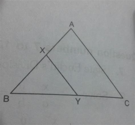 in the given figure XY||AC and XY divides triangular region abc into ...