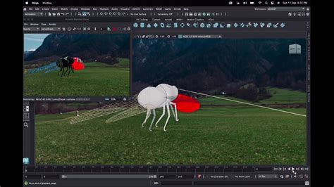 Rig & Animation | Portfolio
