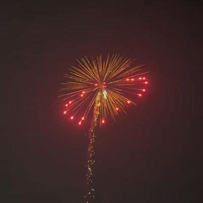 Image result for Display Shell Fireworks