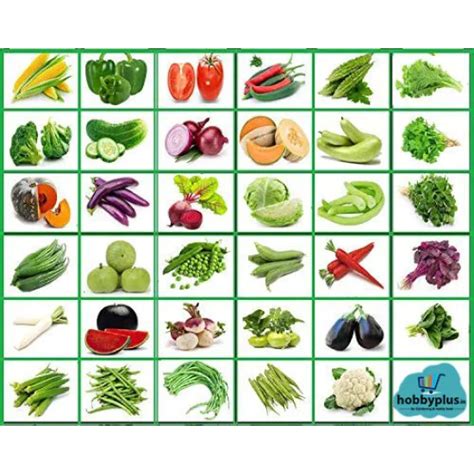 Buy Indian Vegetable Seeds Combo Pack (35+ Variety) Online - Best Price ...
