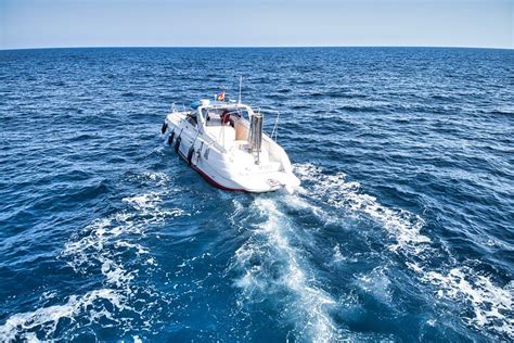AQUAFUN MOGAN - BOAT TRIPS PUERTO DE MOGAN - All You Need to Know ...