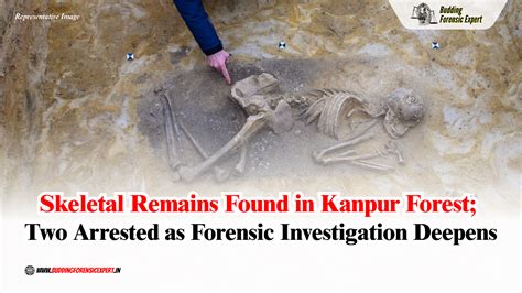 Skeletal Remains Found in Kanpur Forest; Two Arrested as Forensic ...