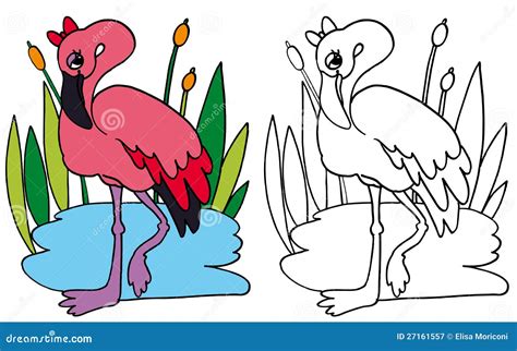 Pink Flamingo COLOR and BW stock illustration. Illustration of digital ...