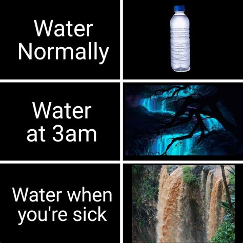"Why don't you drink water when you're sick? It helps you know." : r/memes