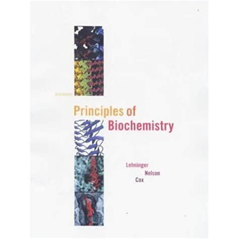 Biochemical Principles 的图像结果