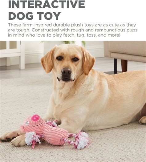 Outward Hound Ranch Roperz Pig Plush Squeaky Dog Toy - Pink – ShakeHands