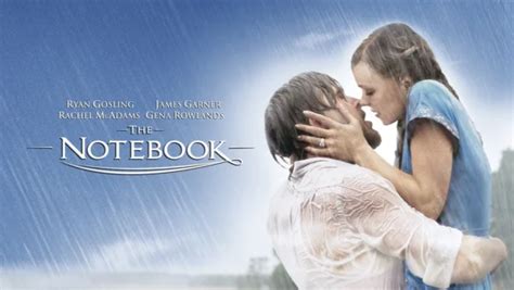 Image result for The Notebook Last Scene