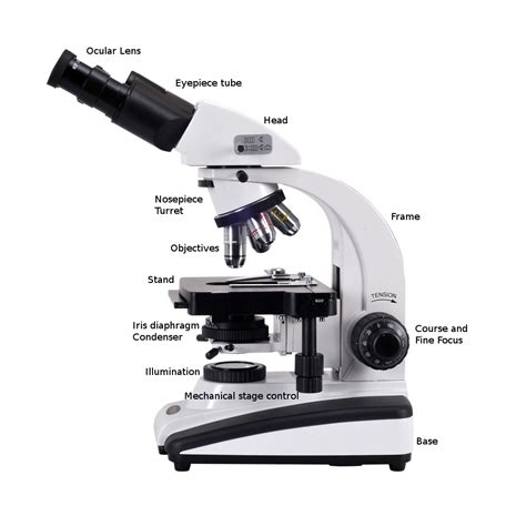 Image result for Video Microscope Play