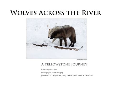 Image result for Yellowstone Wolves Book