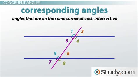 Image result for Types of Transversal Angles