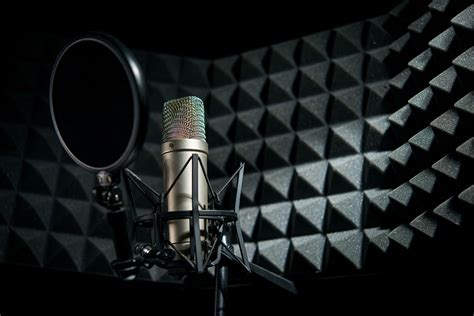 Vocals Microphone