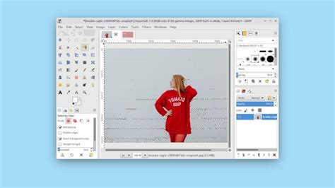 Image result for GIMP Tutorial On Removing Any Background