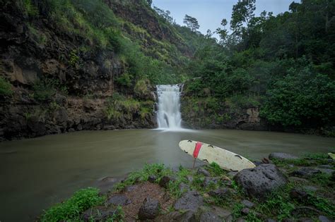 Image result for How to Use Mirrorless Camera