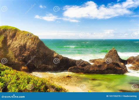 Intertidal Rocks on Seal Rock Beach Stock Photo - Image of sunlight ...