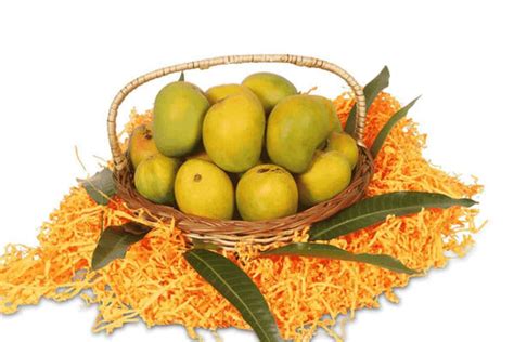 Buy Alphonso Mangoes Online | Hapus Mango – AlphonsoMango.in