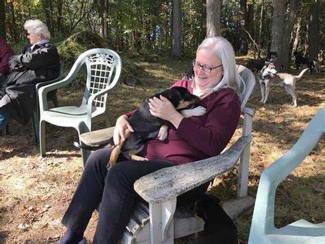 Cobble Hill Kennel (Middlebury) - All You Need to Know BEFORE You Go