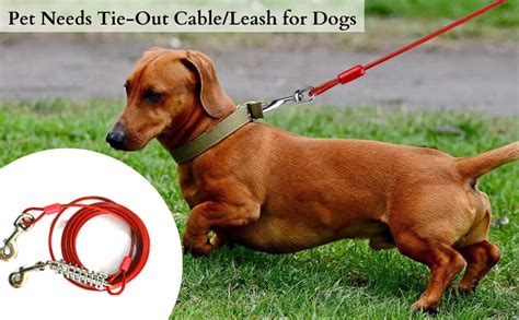 Pet Needs Tie-Out Cable/Leash for Dogs up to 54 Kg, 20 Feet Red ...