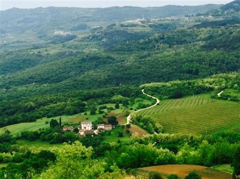Istria Tourism (2024): All You Need to Know Before You Go
