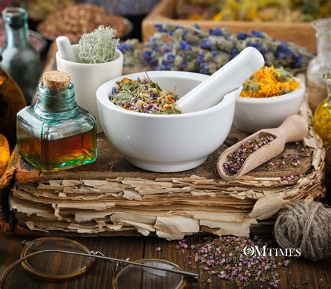 Image result for holistic medicine