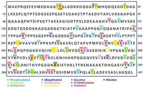 Aggregation, Transmission, and Toxicity of the Microtubule-Associated ...