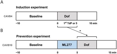 IKs Activator ML277 Mildly Affects Repolarization and Arrhythmic ...