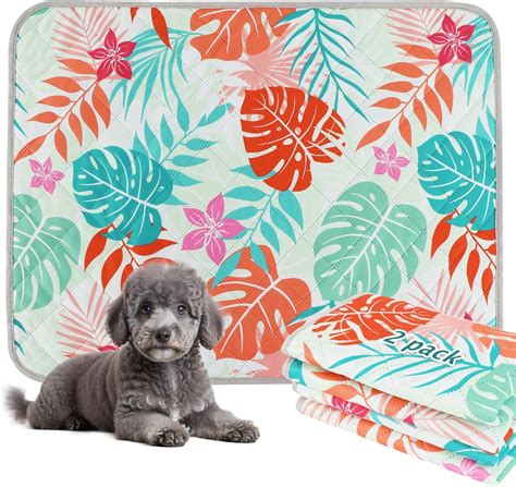 Amazon.com: BVAGSS Washable Pee Pads for Dogs, 2 Pack Reusable ...