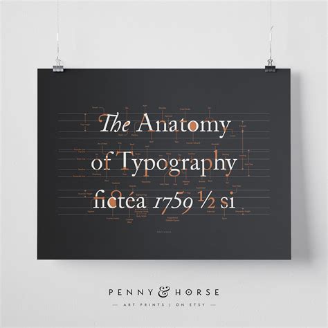 Buy The Anatomy of Typography Poster, Font Design, Typography Terms ...