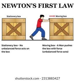 Image result for Prime Newtons Physics