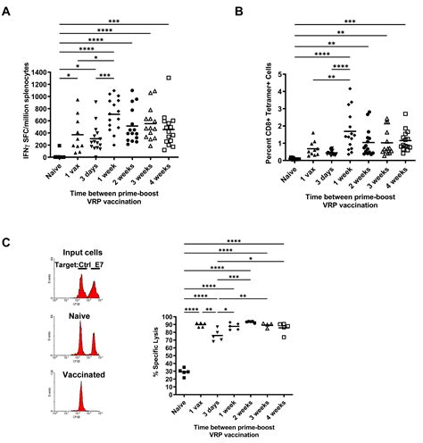 Investigation of the Optimal Prime Boost Spacing Regimen for a Cancer ...