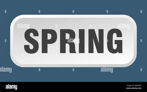 Image result for Java Spring Button