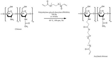 Chitosan and Its Derivatives for Application in Mucoadhesive Drug ...
